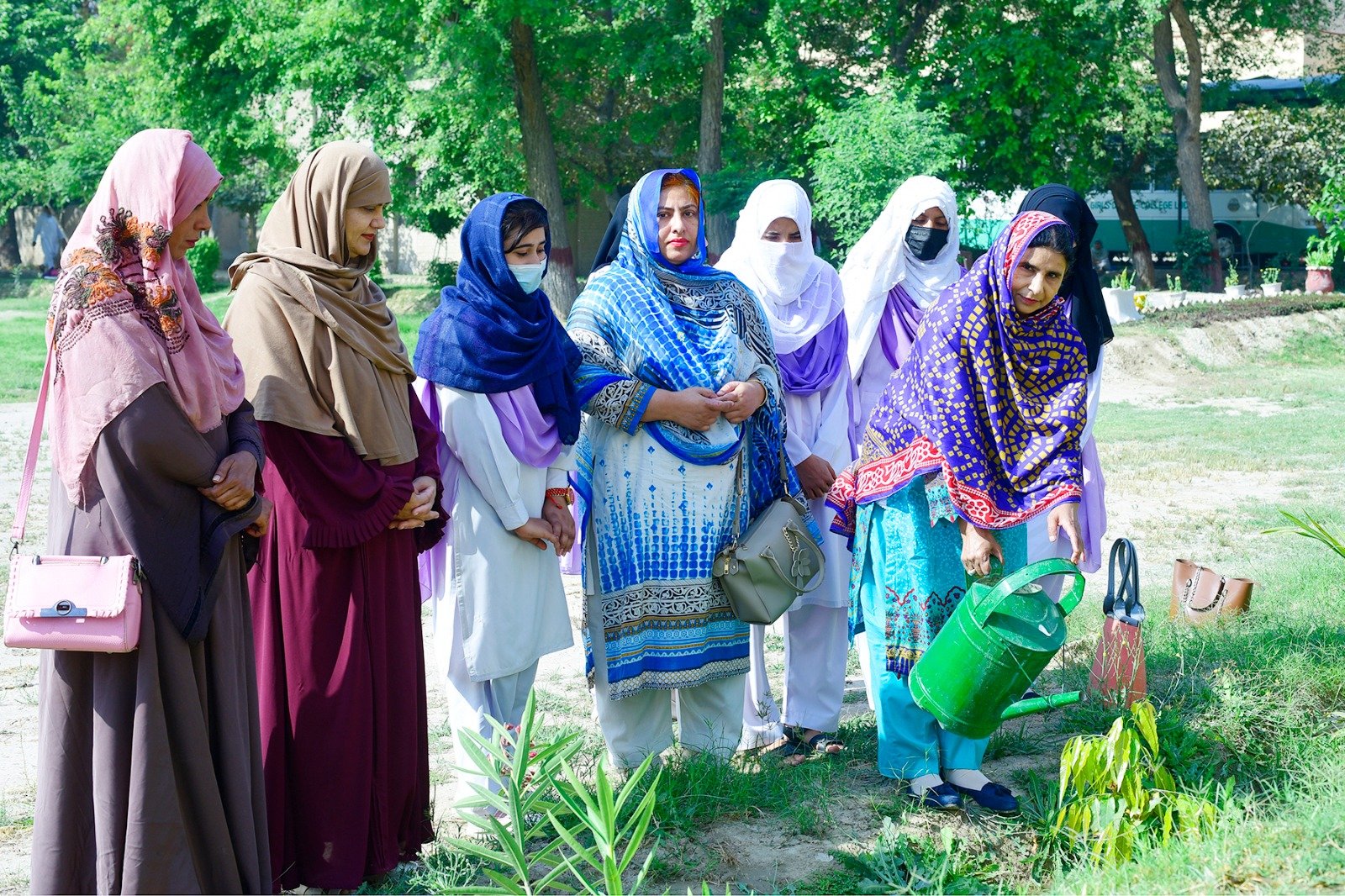 Plant Plantation Drive